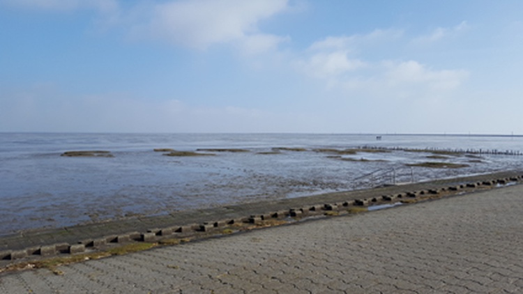 Harlesiel Strand/Wattenmeer