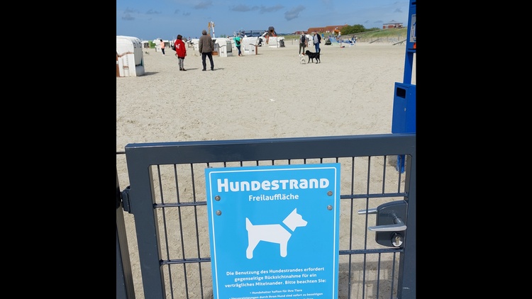 Hundestrandbereich