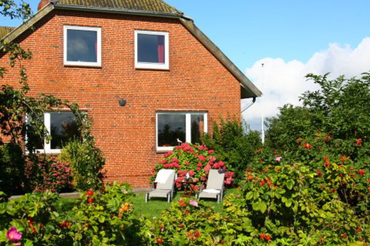 Garten aus Richtung Osten