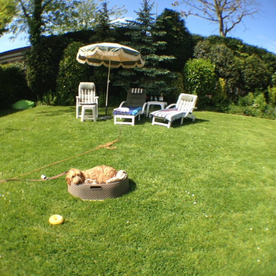 Sehr grosse, fabelhafte Garten