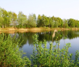 Ferienwohnung Neuharlingersiel