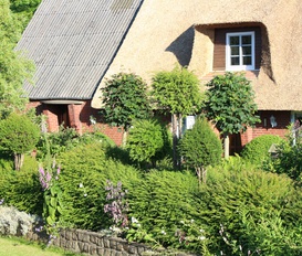 Ferienwohnung Struckum