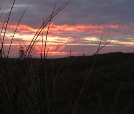 Ferienwohnung Keitum/ Sylt