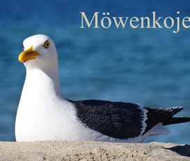 Ferienwohnung Cuxhaven