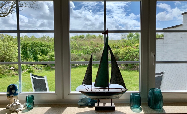 Blick in den sonnigen Garten.