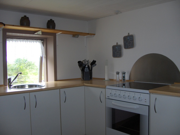 Teilansicht Küche mit Kochzeile
