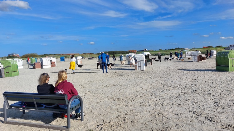 Teilbereich Hundestrand