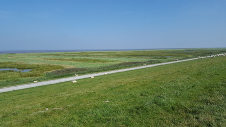 Fahrradtour am Deich