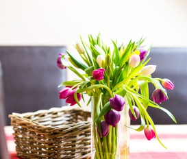 Ferienwohnung St. Peter-Ording