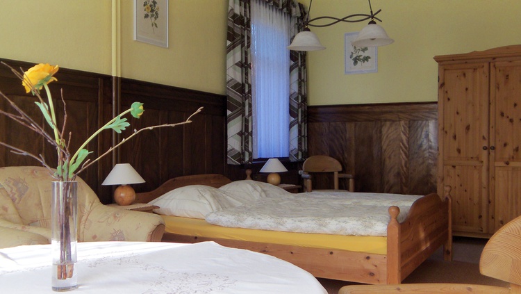 Gr.Wohn-Schlafraum mit einem Doppelbett ,Fernsehsessel, Esstisch, FarbTV, Radio,Wlan,Südterrasse.