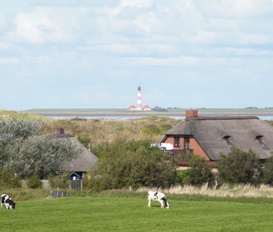 Ferienhaus St. Peter-Ording