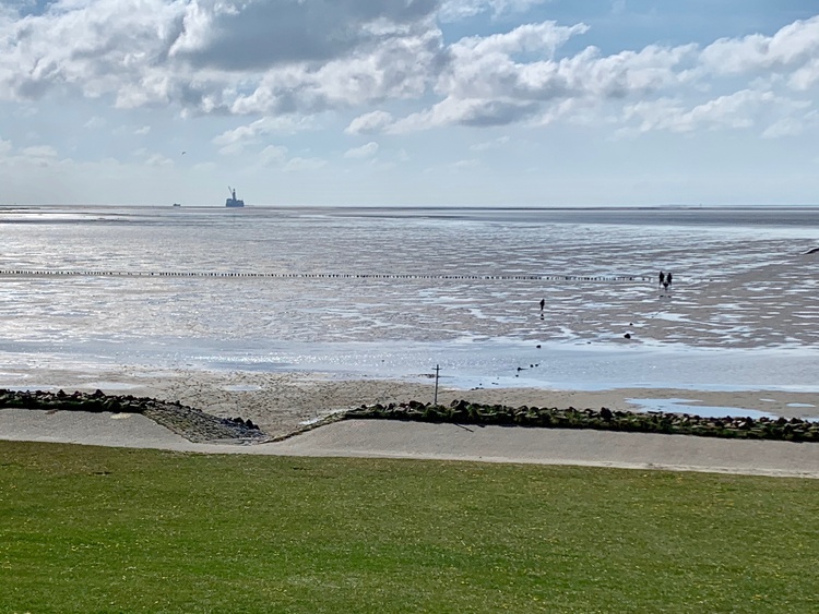 Im Watt auf Entdeckungsreise gehen.