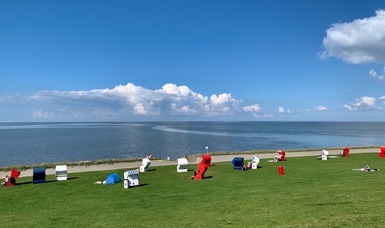 Der grüne Strand von Friedrichskoog.