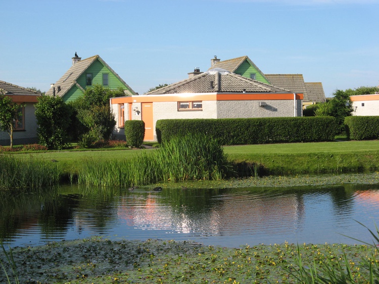 Seestern 102 vor einem kleichen See