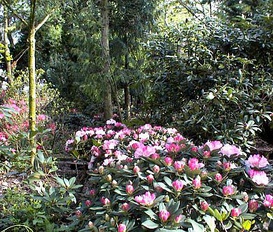 Ferienwohnung Wiefelstede