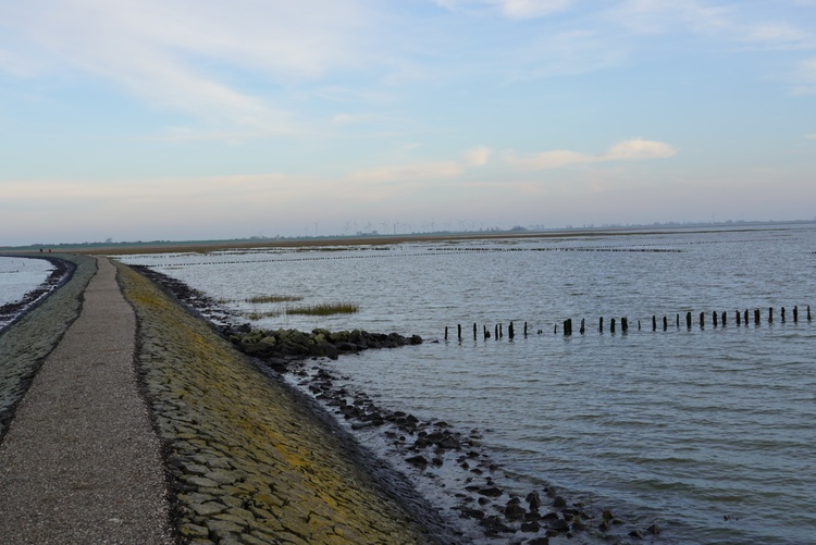 Ganz nah in der Natur.