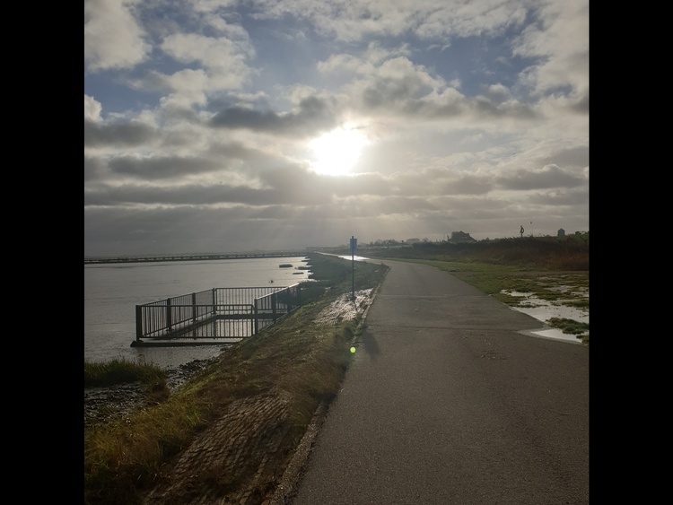 Abendstimmung am Deich