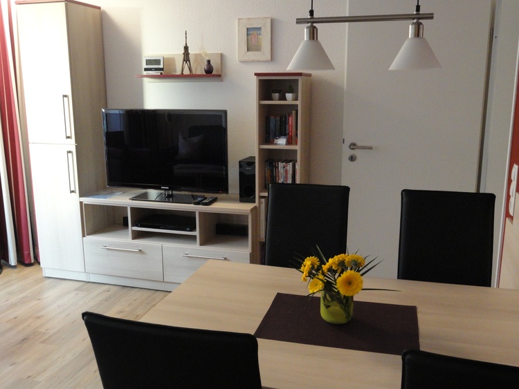 LED Fernseher 40" mit SKY