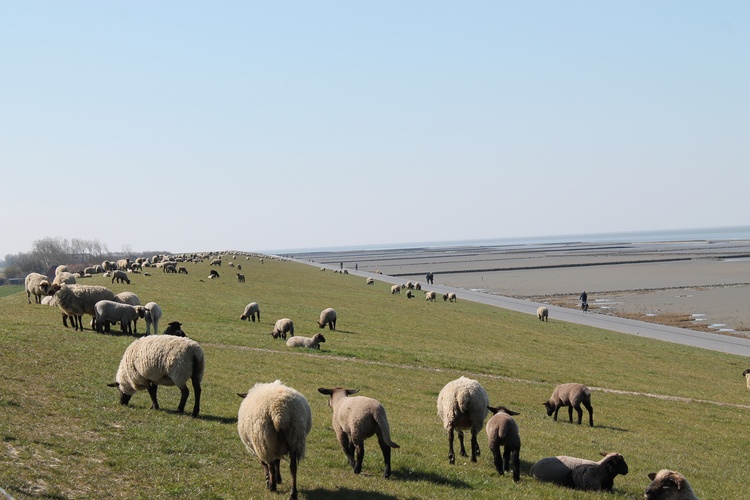 Strand April 2020 Norddeich