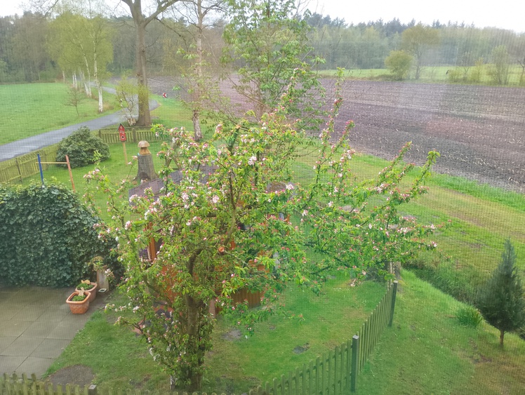 Bild wurde aus dem Wohnzimmer gemacht