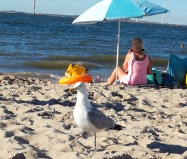 Holiday Home Kortgene