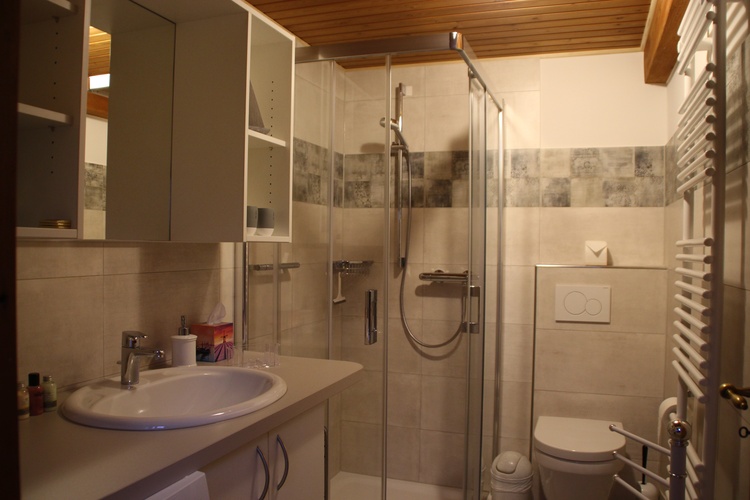 Duschbad mit WC und Waschmaschine im EG