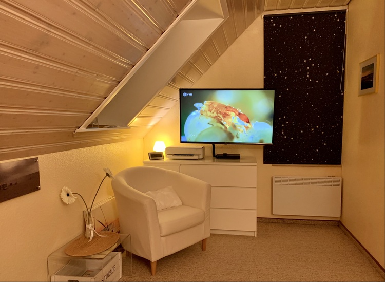 Am Abend gemütlich fernsehen.