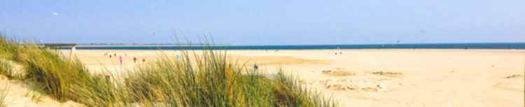 dfhdfdghd fghdfghd fgh df