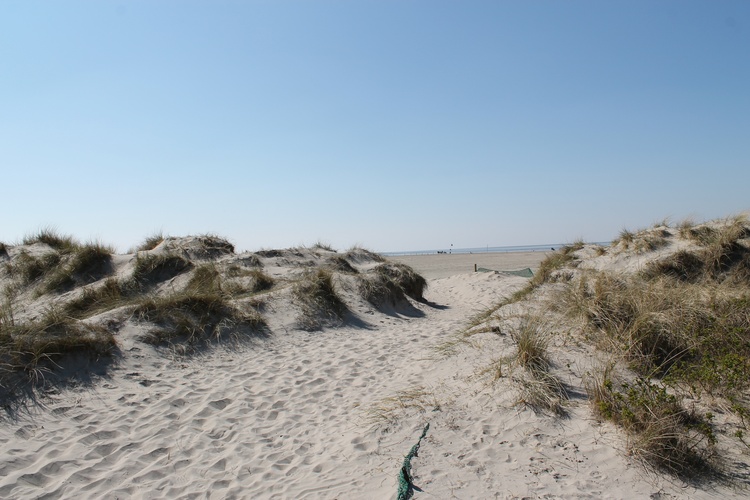 Get Bilder von norddeich strand Desktop Wallpaper Free