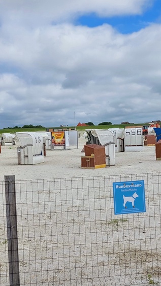 Hundestrandbereich Hundestrandbereich