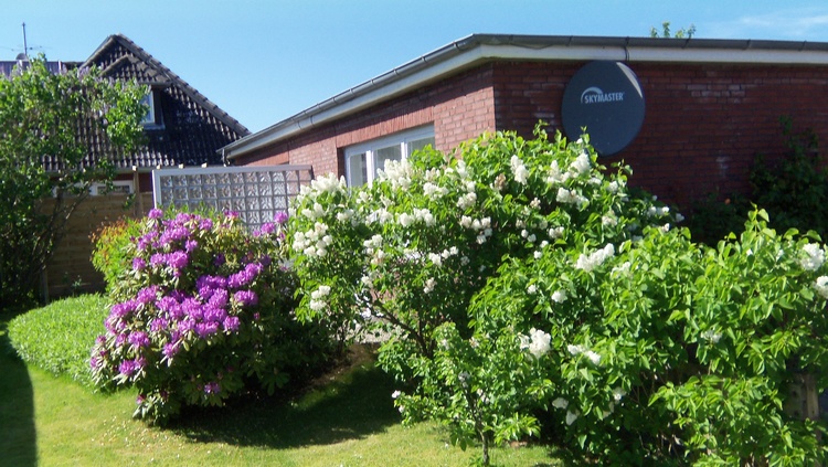 Sonniger Innenhof mit Südterrassen im grünen gelegen..Parkplatz und Fahrradabstellmöglichkeit im Hof Sonniger Innenhof mit Südterrassen im grünen gelegen..Parkplatz und Fahrradabstellmöglichkeit im Hof