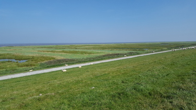 Fahrradtour am Deich Fahrradtour am Deich