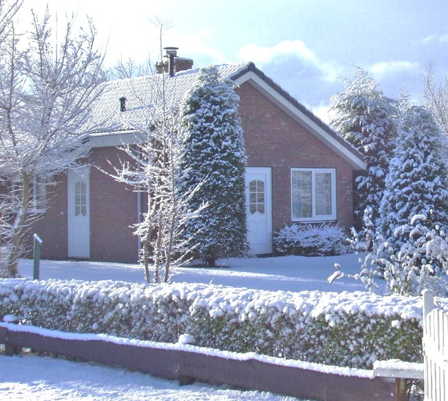 Winter Winter
