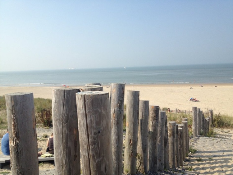 Die Strände van Zeeland sind seit Jahren die schönste von der Niederlände Die Strände van Zeeland sind seit Jahren die schönste von der Niederlände