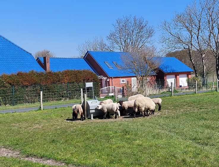 Westermarsch Westermarsch