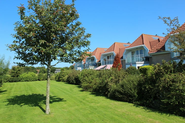 Wiese hinter der Wohnung Wiese hinter der Wohnung