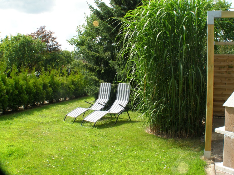 Im Garten Im Garten