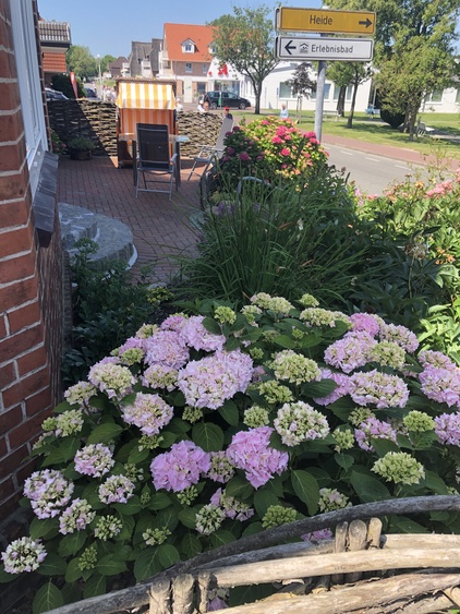 Eingang mit Gästeterrasse Eingang mit Gästeterrasse