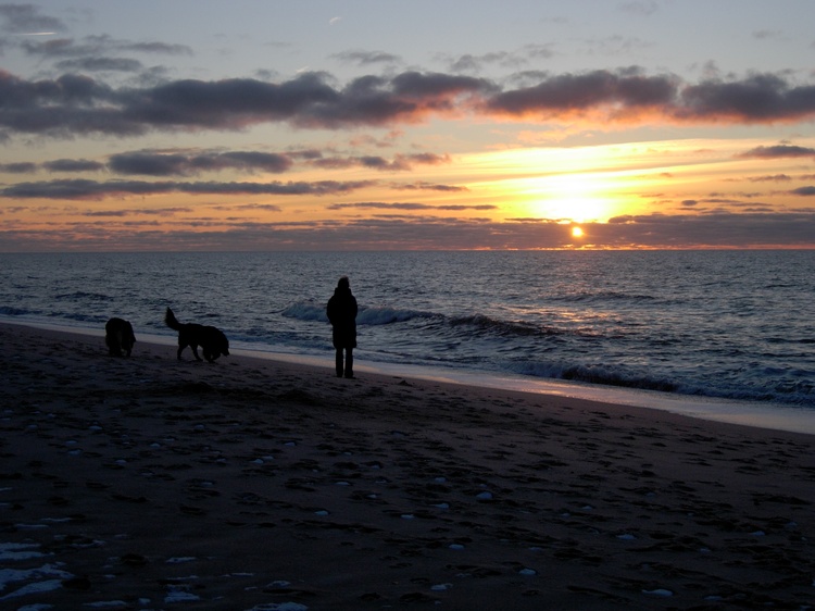 Insel-Stimmung Insel-Stimmung