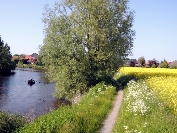 Blick zur Fewo Blick zur Fewo