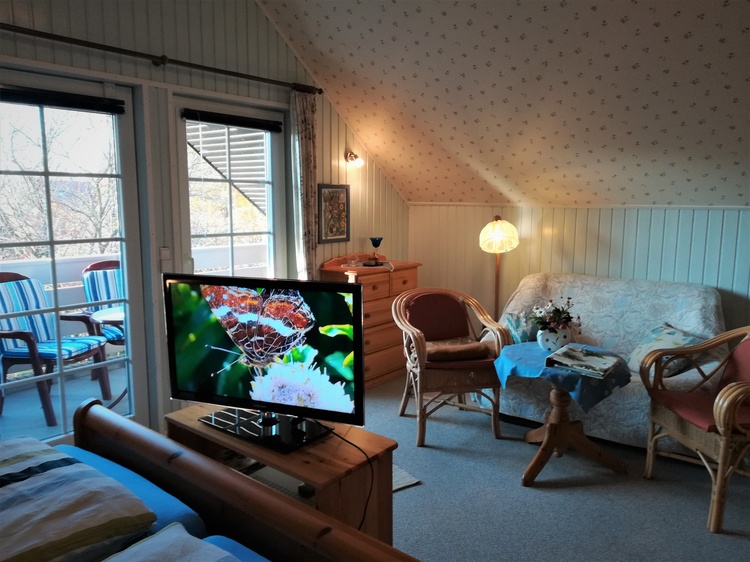 Wohn/Schlafzimmer Wohn/Schlafzimmer